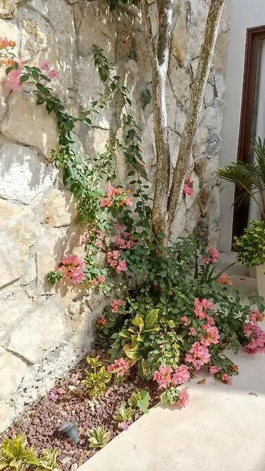 Holiday home Casa Neem. Una Joya En El Centro De Merida Villa